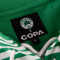 Maglietta COPA Panathinaikos FC 1934 Verde