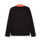Felpa Puma Individualliga 1/4 Zip Top