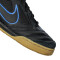 Scarpe Nike Gato